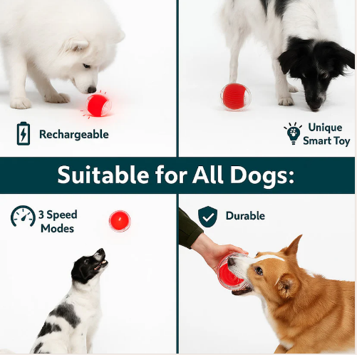 Smart Interactive Rolling Ball Dog Toy – 360° USB Rechargeable LED Pet Ball for Dogs