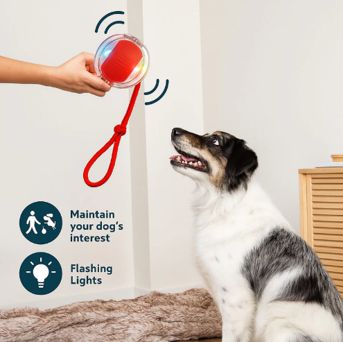 Smart Interactive Rolling Ball Dog Toy – 360° USB Rechargeable LED Pet Ball for Dogs