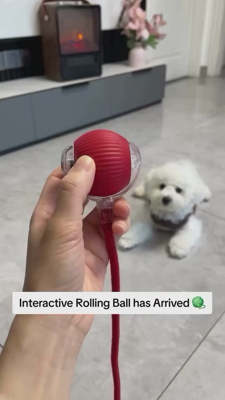 Smart Interactive Rolling Ball Dog Toy – 360° USB Rechargeable LED Pet Ball for Dogs